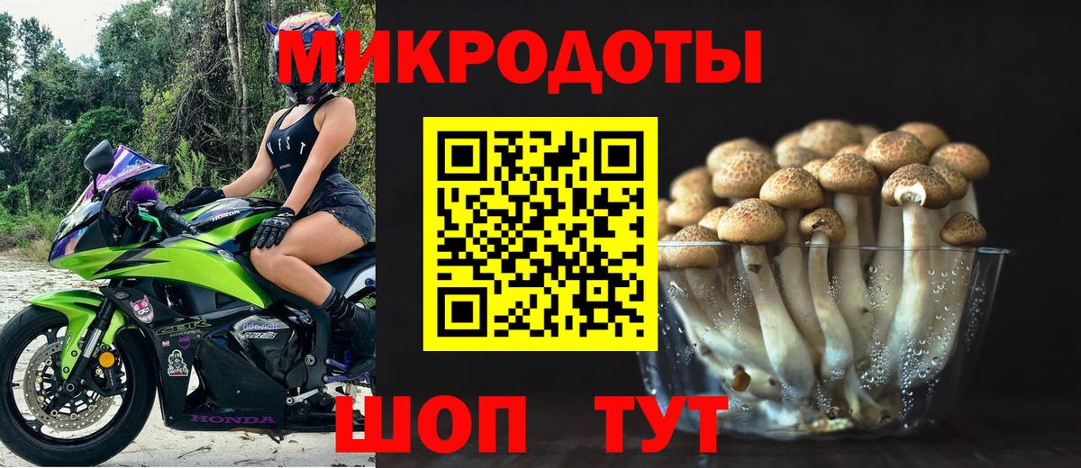 Галлюциногенные грибы Magic Shrooms  Вход с VPN  где найти наркотики  Асино 